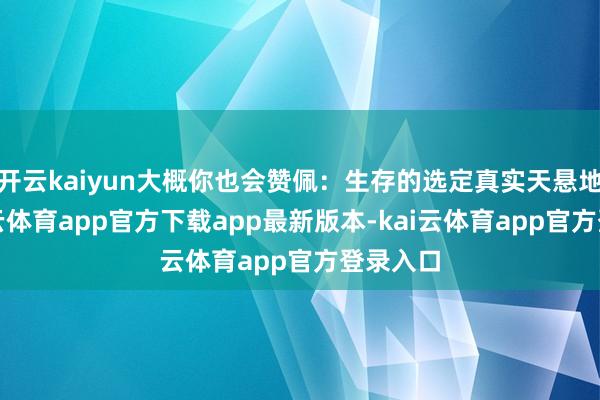开云kaiyun大概你也会赞佩：生存的选定真实天悬地隔-kai云体育app官方下载app最新版本-kai云体育app官方登录入口