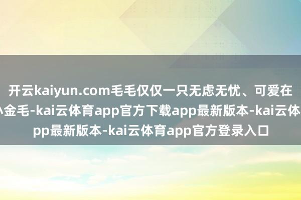 开云kaiyun.com毛毛仅仅一只无虑无忧、可爱在果园里尽情撒欢的小金毛-kai云体育app官方下载app最新版本-kai云体育app官方登录入口