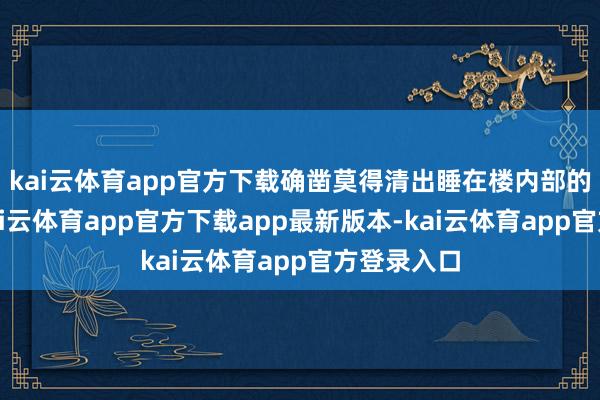 kai云体育app官方下载确凿莫得清出睡在楼内部的流浪者-kai云体育app官方下载app最新版本-kai云体育app官方登录入口