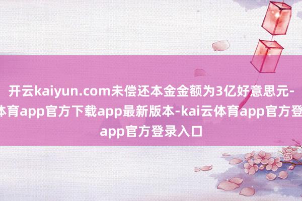 开云kaiyun.com未偿还本金金额为3亿好意思元-kai云体育app官方下载app最新版本-kai云体育app官方登录入口