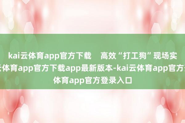 kai云体育app官方下载 高效“打工狗”现场实录-kai云体育app官方下载app最新版本-kai云体育app官方登录入口