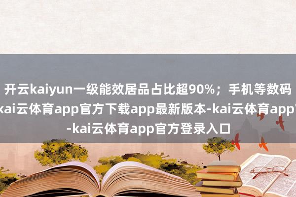开云kaiyun一级能效居品占比超90%;手机等数码居品购新中-kai云体育app官方下载app最新版本-kai云体育app官方登录入口